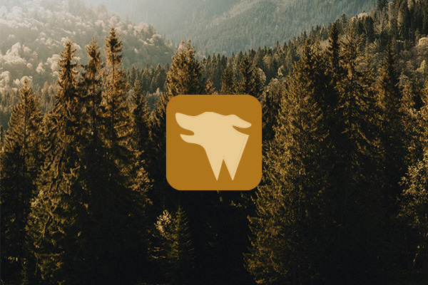 Woofwise app icon with forest background