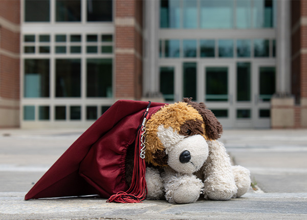 A stuffed animal and a red graduation cap
